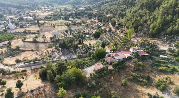 Arte Gayrimenkul'den Satılık Yaylasöğüt'ün En Güzel Arsası