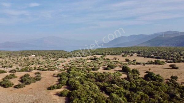 Acill İmara Yakın Bölgede Yatırıma Uygun 300 M2 Arsa