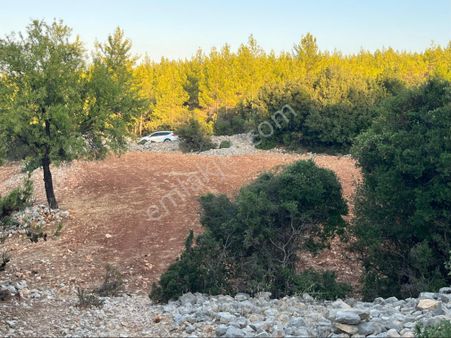 Türe Gayrimenkulden Silifke Malır Yaylasında Satılık Tarla