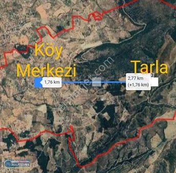 Fırsattır!torbalı Demirci De Köye Yakın 20 Dönüm Zeytinli Tarla