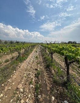 Filo Gayrimenkulden Uygun Fiyata Satılık Son Sistem Yenice Bağ