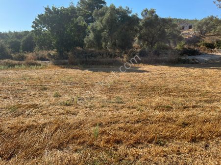 Bodrum'a 30 Dakika, Yatırımlık Kupon Tarla!