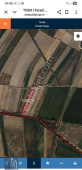 Çifteler Saithalimpaşa'da Satılık Sulak Tarla