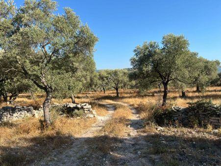 Muğla Milas'ta, Taş Duvarlı, Kolay Ulaşılabilir, Geniş Tarla
