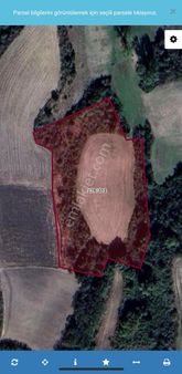 Tekirdağ Hayrabolu Şalgamlı'da 12.900 M2 Tek Tapu Satılık Tarla