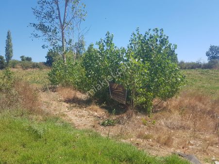 Kazdağları Hıdırlar Anayola Sıfır Dere Kenarı