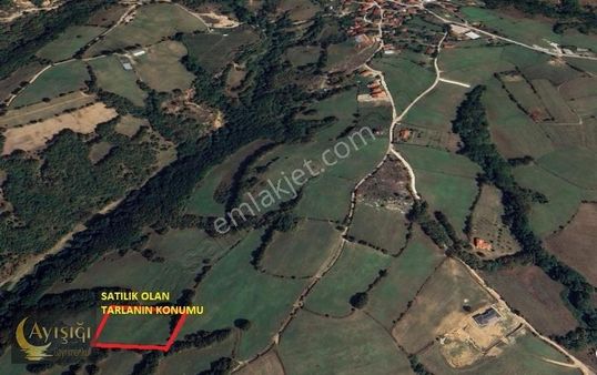 Kırklareli Demirköy Hamdibey'de Tek Tapulu 7000m² Satılık Tarla