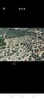 Aydın Çine Özeren Derındere Mevkide Satılık Otlak Ges Proje Sine Uygun