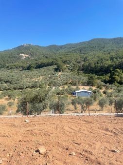 İzmir Kemalpaşa Yeşilköyde Satılık Tarla