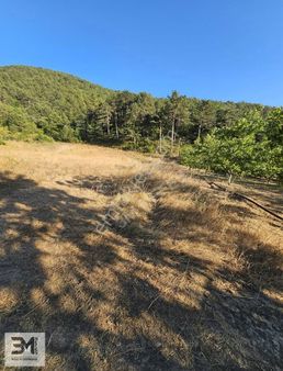 Sakarya Geyve 3060m2 Elektrik,su İmkanı Panoramik Manzaralı Arsa