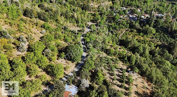 Sakarya Geyve 1168m2 Asfalt Cephe Elektrik Su Fırsat Ceviz Bahçe