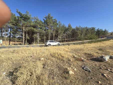 Hanedan Emlak'tan Orman Manzaralı Satılık A2 Arsa