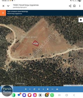 Kaş Sahil Aklar Tavşan Mevkinde 1177 Metrekare Acil Satılık