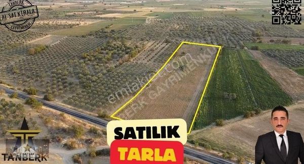 ^^satılık 15.969 M2 Asfalt Yola Cepheli Tarla