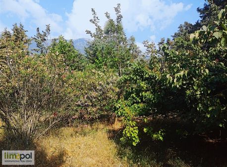 Limopol'den Ovacıkta Turizm Veya Konut Tercihıi Imarlı Arsa