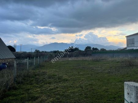 İzmir Kemalpaşa Soğukpınar Da Satılık Tarla