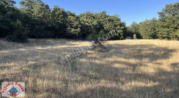 Asfalt Yola Cepheli Boş Tarla