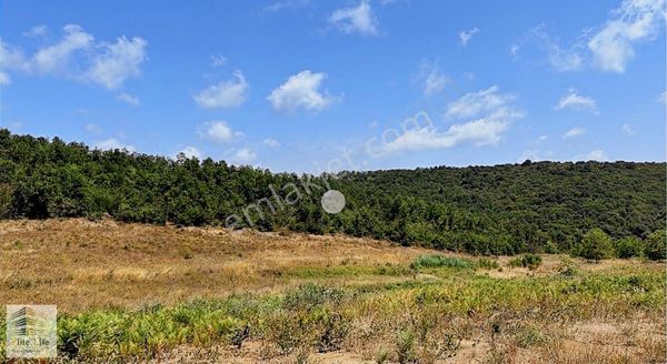 Alibahadır Köyünde 22.578 M² Ticari İmarlı Satılık 4 Parsel