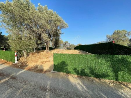 İzmir Kemalpaşa Dereköyde Satılık Tarla