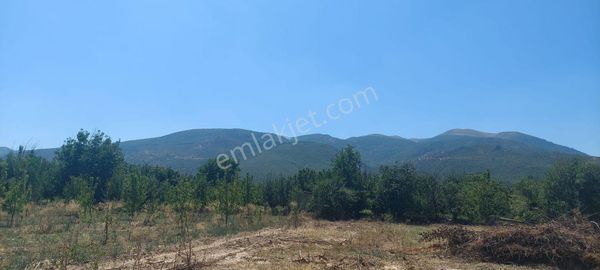 Bizim Emlak'tan Atakent'te Soğuk Hava Deposu Altında 4.343 M² Tarla