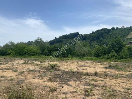 Aydın Emlak Pazarsuyunda 6135m2 Tarla