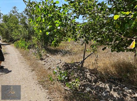 Vize Küçükyayla Köyünde Tek Tapu 3600 M2 Tarla