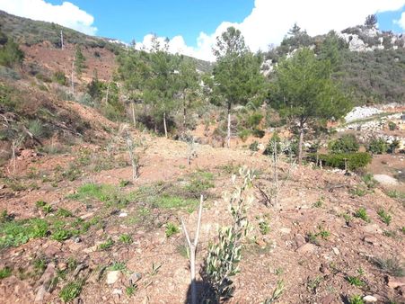 Alanya Demirtaş Tırılar Mahallesi’nde Satılık Hafriyatı Yapılmış 2800 Metrekare Tarla