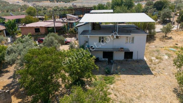 686 Mescitli Mahallesinde Satılık 2 Katlı Evi Olan Zeytinlik Ve İncir Bahçesi
