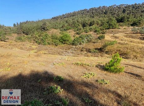 Remax Desıgn Pamukova Doğa Manzaralı Satılık Tarla