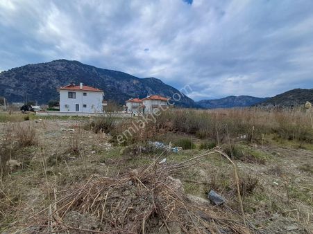 Ortaca Mergenli De 2.125 M² Tek Tapu Fırsat Arsa