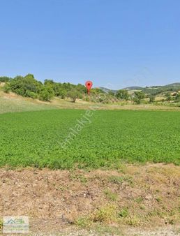 Klc'den Balıkesir Kepsut Tekkeışıklarda Satılık 5.000 M2 Tarla