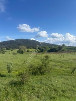 Yatırıma Uygun Satılık Tarla