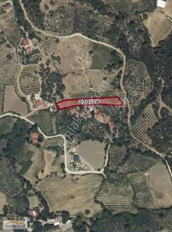 Muğla Seydikemer Yakaköy Mahallesinde Yatırımlık Tarla