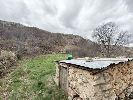 Yatırımlık Ve Verimli Bahçe