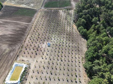 Honaz Karaçay Mevkisinde Uygun Fiyatlı Satılık Hobi Bahçeleri