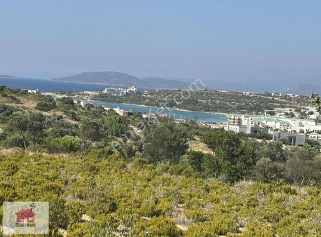 Secret House'dan 228m2 Zeytinlik (tarla)