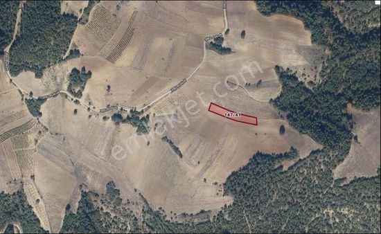 Geyve Günhoşlar Mahallesinde Geleceğe Yatırımlık Arazi