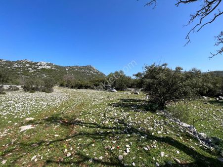 Joker: Marmaris Söğüt Resmi Yol Cepheli Yatırımlık Tarla