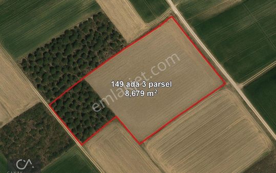 Çanakkale Ezine Yeniköy’de Denize 1 Km, Yola Cepheli, Sulama Kanallı 8.679 M² Tek Tapu Tarla