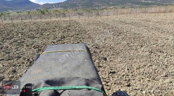 Isparta Gönen İğdecik De Satılık Bahçe