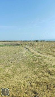 Balıkesir Altıeylül Atköy De Yatırımlık Tarla