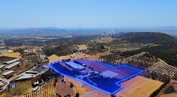 Foça Ilıpınar'da Sanayi Ve Depo İmarlı 74.159 M2 Satılık Arsa