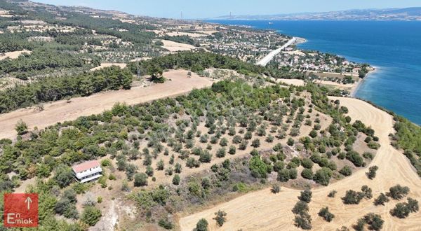 1915 Çanakkale Köprüsü Yakınında, Denize Komşu 8 Dönüm Tarla