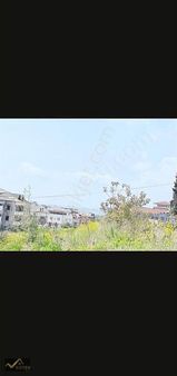 Cami Mh De Ferhat Yağcı'dan 1100 M2 Deniz Manzaralı Zeytiinlik