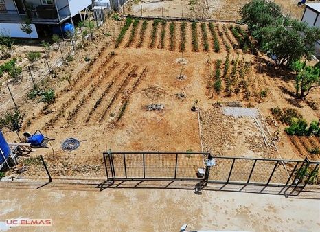 Üç Elmastan Köy İçinde 584 M² Bakımlı Hazır Muhteşem Bir Bahçe