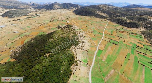 Burdur Ağlasun'da Ceviz Ağaçlı Satılık Tarla