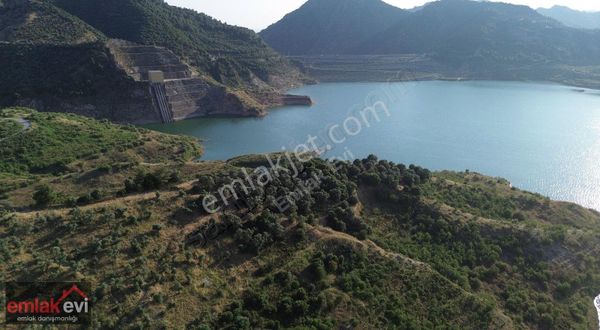 Emlak Evi'nden İkizdere'de 5.000m² Satılık Fırsat Zeytinlik