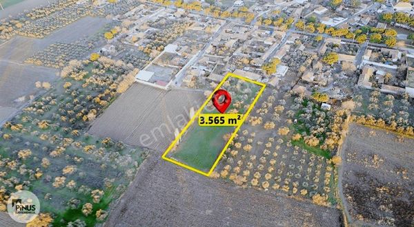 Pinus Gayrimenkulden//bergama Ayasköyde Yatırımlık İmarlı Arazi