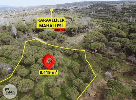 Pinus Gayrimenkul'den // Kozak Yaylası'nda 8.419 M² Fıstıklık