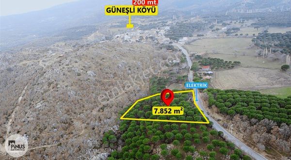 Pinus Gayrimenkulden//kozak Güneşli'de Yola Cepheli Fıstıklık